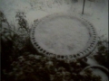 070208 Snow Bird Bath.JPG