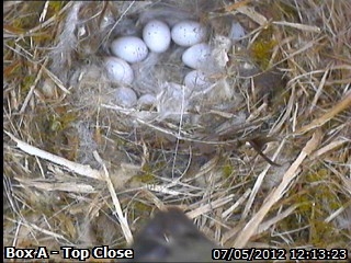 20120507 Perfect circle.jpg