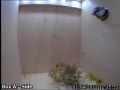 20120401 Looking through hole.jpg
