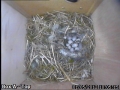 20120501 Egg 8 wide.jpg