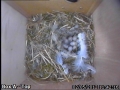 20120502 Egg 9 wide.jpg
