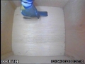 20130402-checking-inside-box-b.jpg