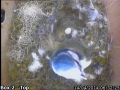 20140414 Egg 1.jpg