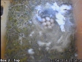 20140421 Egg 8.jpg