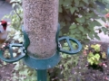 Feeder 2015-06-07 11-21-33.638