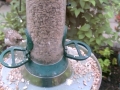 Feeder 2015-06-13 09-12-52.711