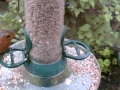 Feeder 2015-06-13 11-49-41.118