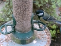 Feeder 2015-06-13 16-37-45.730