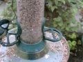 Feeder 2015-06-13 16-38-32.562