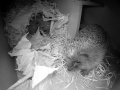 Hedgehog Box 2016-04-28 21-54-31.297