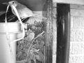 Robin Nest 2016-04-15 11-46-40.430