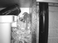 Robin Nest 2016-05-11 20-24-56.940