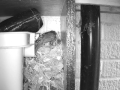 Robin Nest 2016-05-12 06-26-00.747
