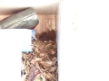 Robin Nest 2016-05-13 18-40-37.604