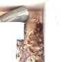 Robin Nest 2016-05-13 18-40-52.872