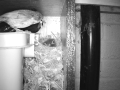 Robin Nest 2016-05-14 05-04-16.072