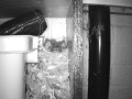 Robin Nest 2016-05-19 04-51-11.689