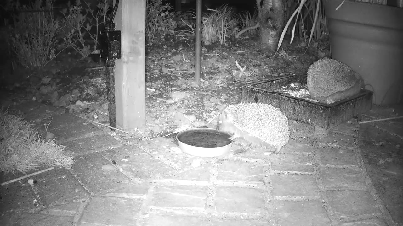 to 2016! Nature Watch Live